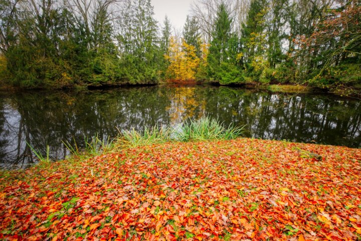 Slider_Herbst.8.jpg